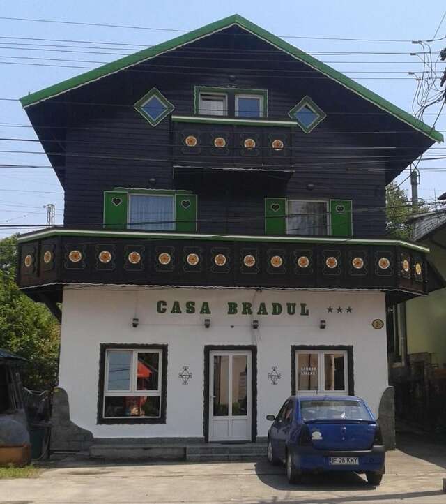 Гостевой дом Pension Casa Bradul Предял-3